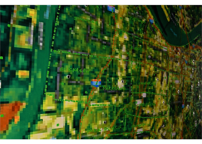 "Hope Dies Last" (detail) B